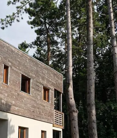 La Datcha Dans Les Pins, D'architecte *