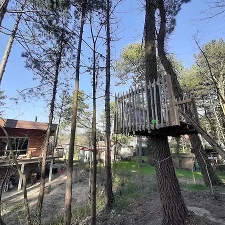 Villa La Datcha Dans Les Pins, D'architecte Quend